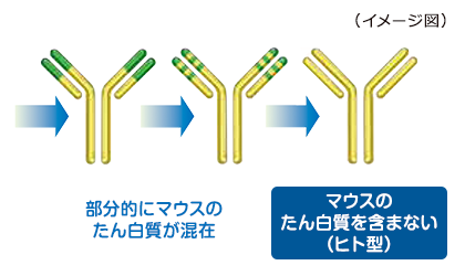 生物学的製剤の成分について